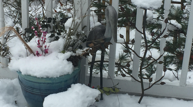 renewables this winter