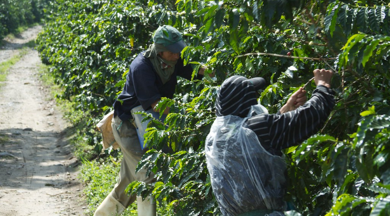 Is The Plant-Based Food Sector Really Too Woke? - CleanTechnica