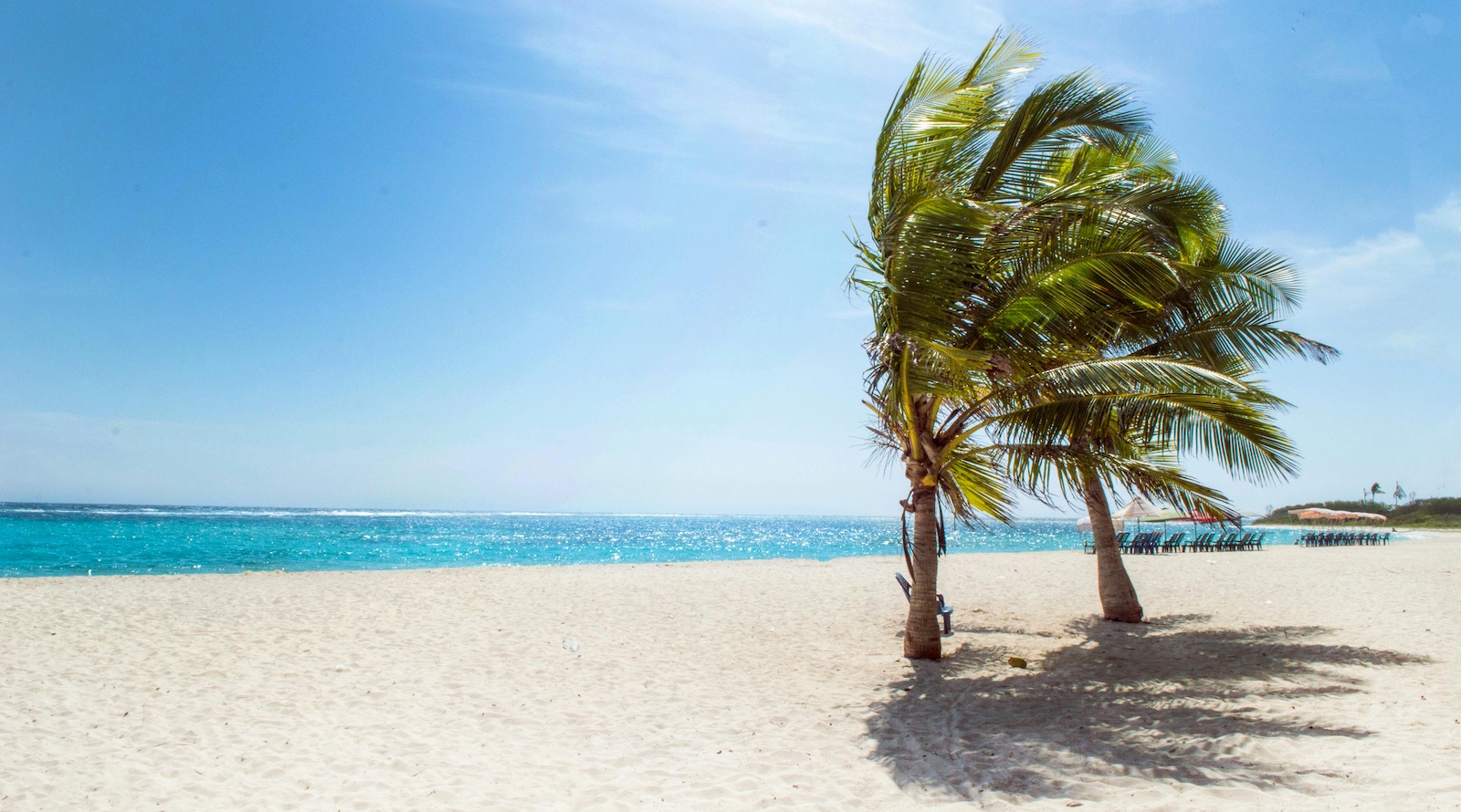 Oil Colonialism In 2025? WTF Is Going On?