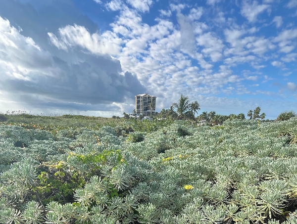 Here Are Some Crucial Climate Actions You Can Take To&hellip;