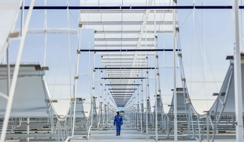 Here Comes Concentrating Solar Power To Decarbonize Industrial Heat