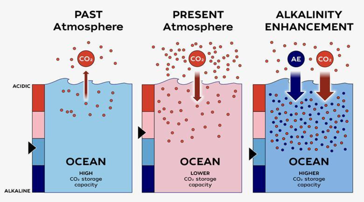 Geoengineering The Gulf Of Maine