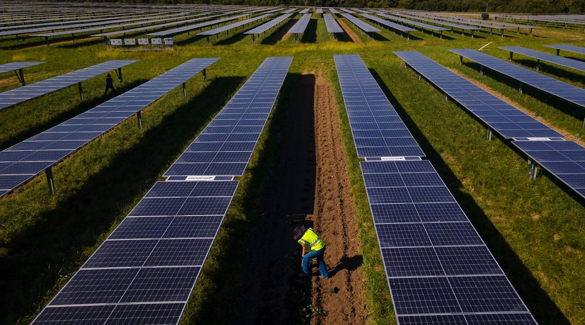 Agrivoltaics Can Save US Farmers In More Ways Than One