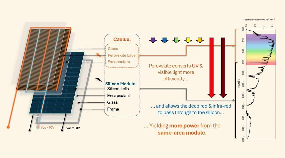 Puerto Rico Suddenly Emerges As A Perovskite Solar Cell Powerhouse