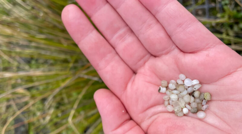 plastic pellets
