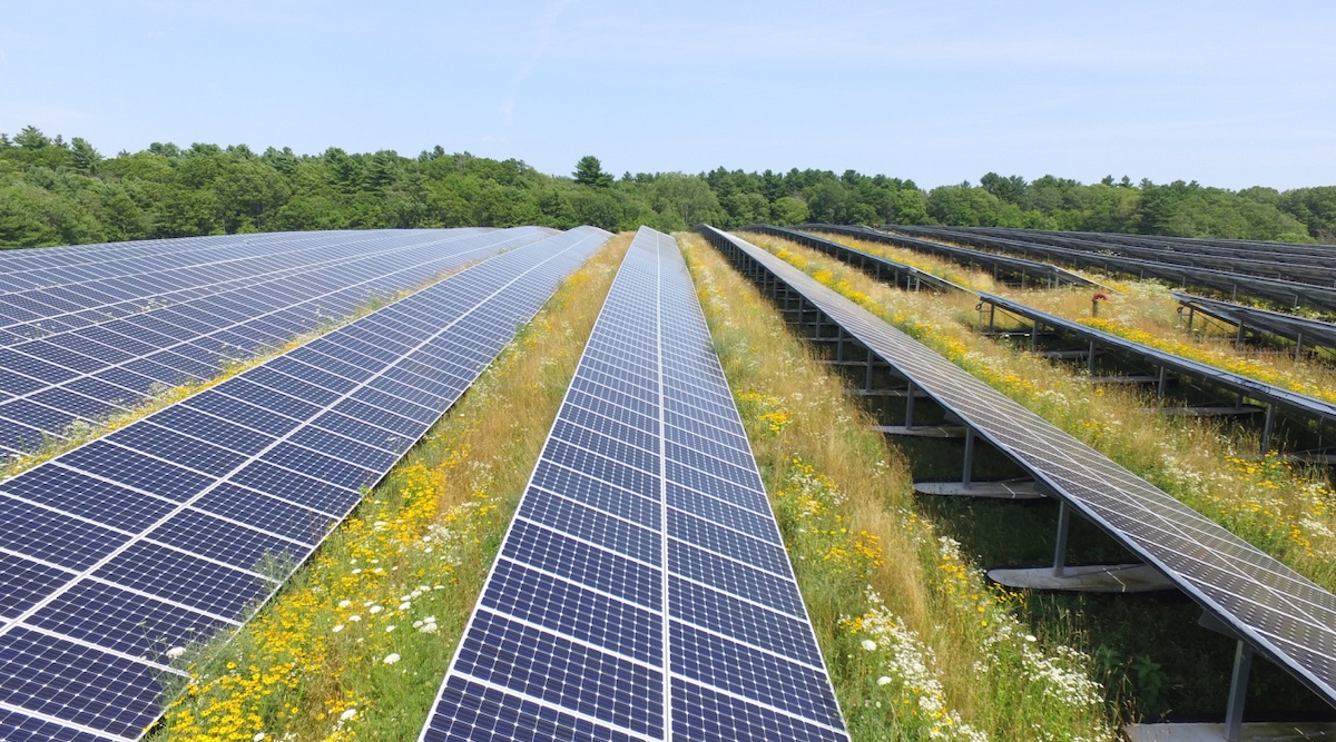 Coal Plant Emissions Are Sabotaging Solar Panel Performance, New Analysis Shows
