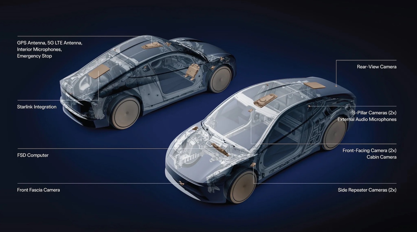 Tesla Launches Robotaxi in Tampa & Orlando, + Big Change Coming to FSD!