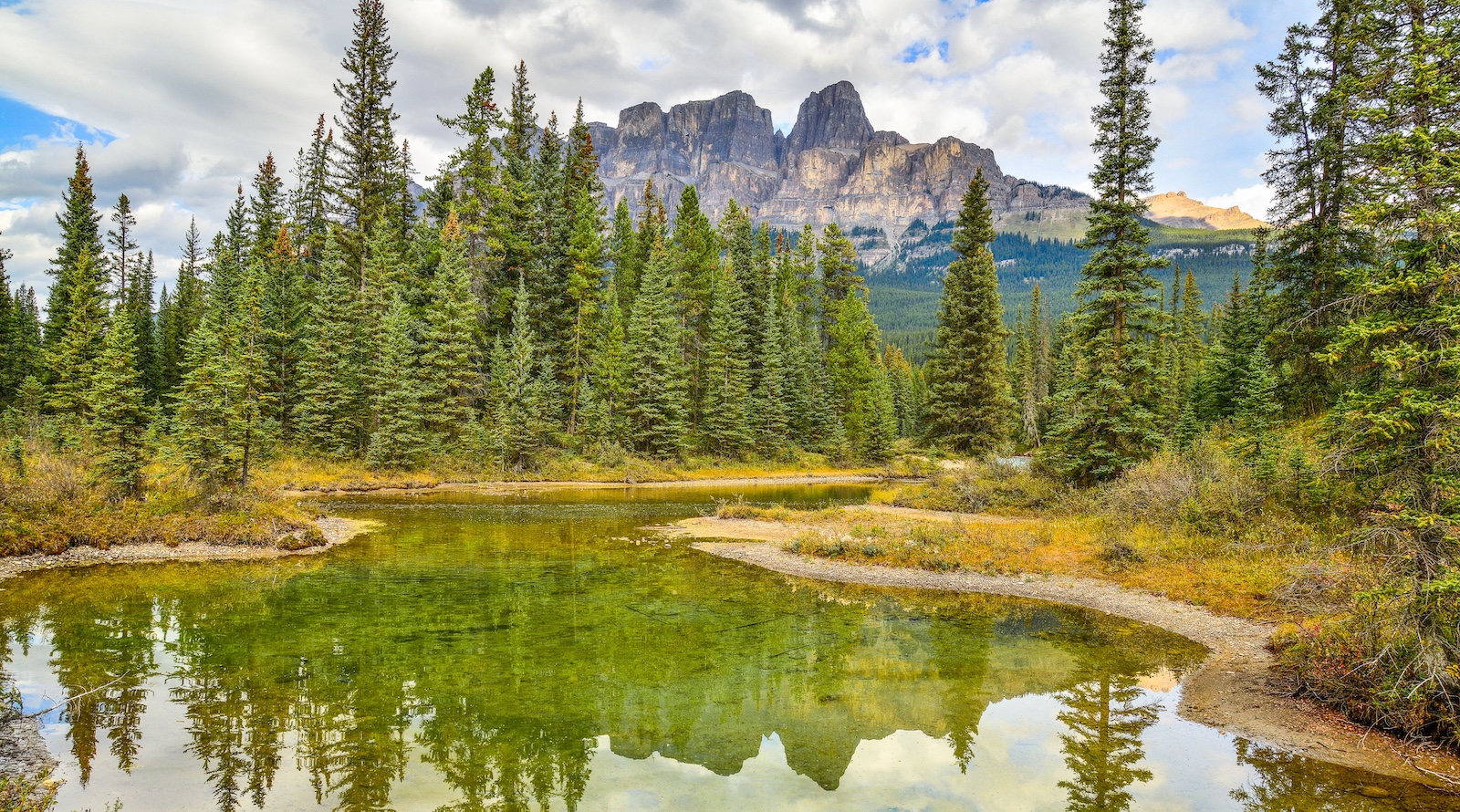 Sierra Club Statement on USDA Announcement to Remove Roadless Rule Protections - CleanTechnica