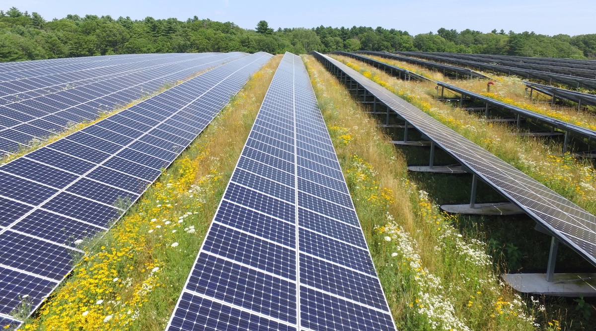 Oh, So Trump Loves Solar Power After All?