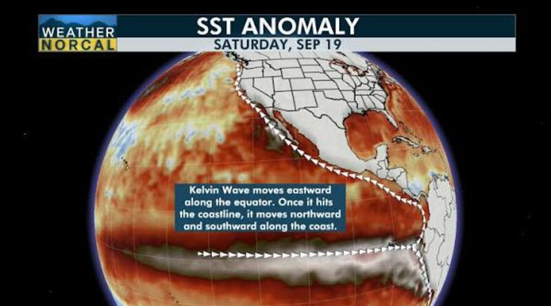Kelvin wave