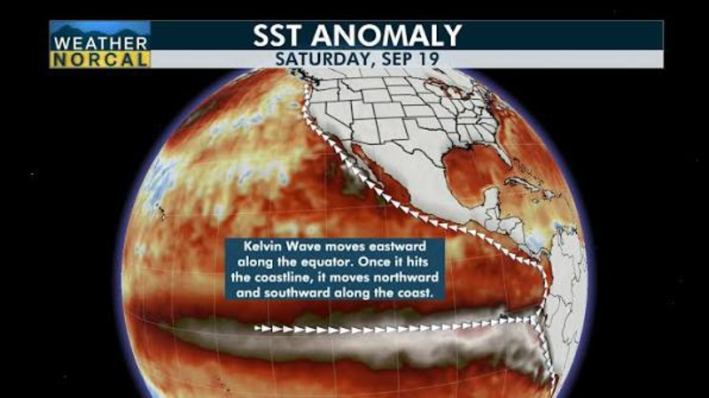 Kelvin Wave In Pacific Ocean Heads Toward California