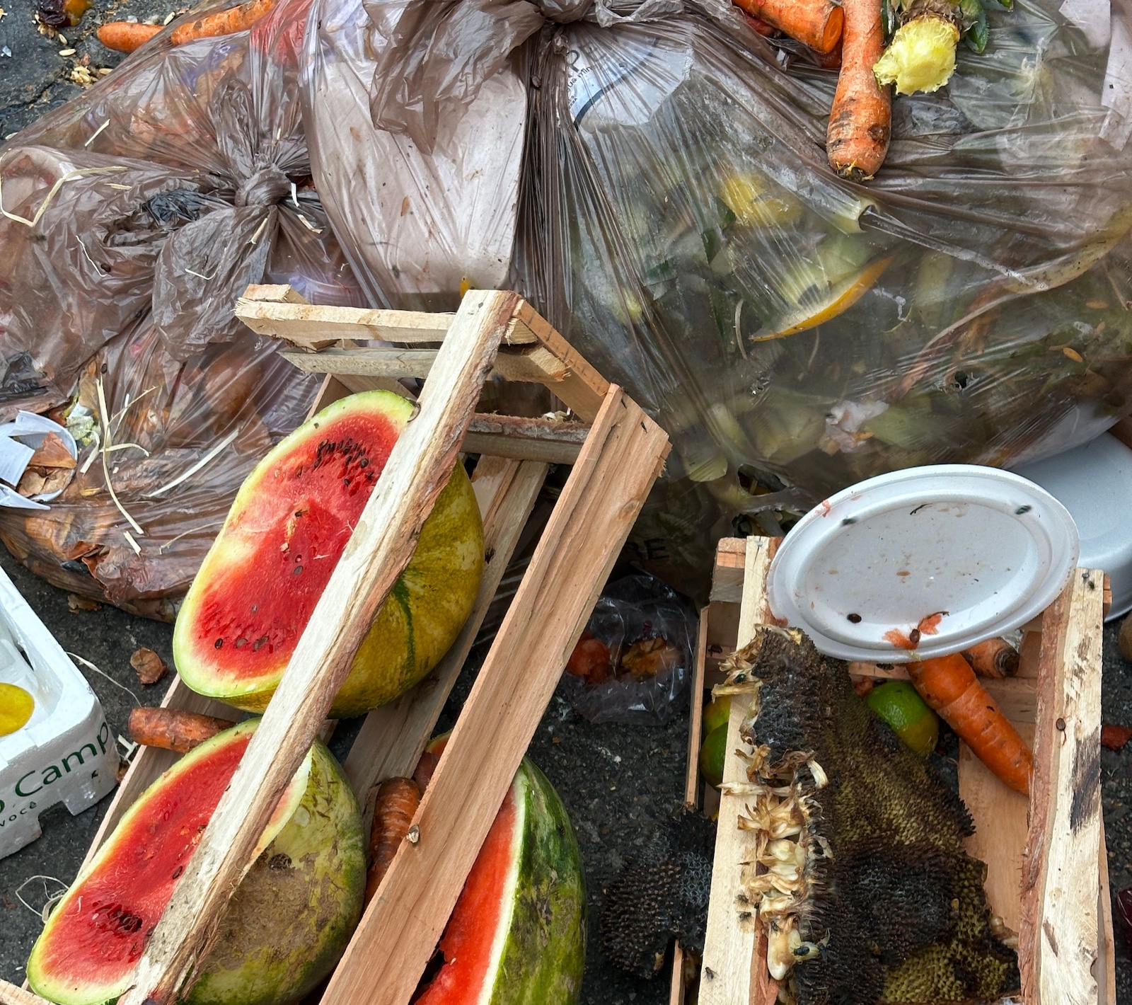 Food Waste Diversion Policies Could Generate Billions in Economic Benefits