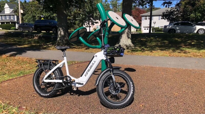 kingbull e-bike verve